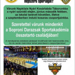 Soproni Darazsak Sportakadémia