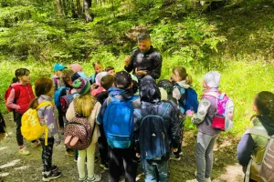 Erdei túra a Madarak és fák napján (természetjáró szakkör)