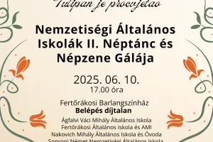 Nemzetiségi Általános Iskolák II. Népzene és Néptánc Gálája (meghívó)