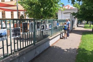 Kerítés galéria