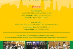 Kosarazz idén is a Darazsakkal!
